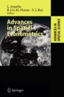 Image for Advances in spatial econometrics  : methodology, tools and applications