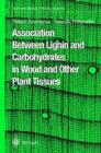 Image for Association between lignin and carbohydrates in wood