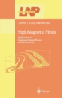 Image for High Magnetic Fields