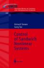 Image for Control of Sandwich Nonlinear Systems