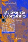 Image for Multivariate geostatistics