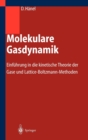 Image for Molekulare Gasdynamik