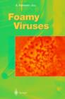 Image for Foamy Viruses