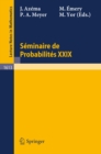 Image for Seminaire De Probabilites Xxix : 1613