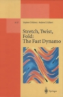 Image for Stretch, Twist, Fold: The Fast Dynamo