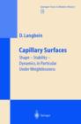 Image for Capillary surfaces: shape, stability, dynamics, in particular under weightlessness : 178