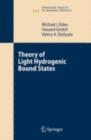 Image for Theory of light hydrogenic bound states