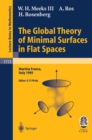 Image for The global theory of minimal surfaces in flat surfaces: lectures given at the 2nd session of the Centro Internazionale Matematico Estivo (C.I.M.E.) held in Martina Franca, Italy June 7-14, 1999