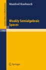 Image for Weakly Semialgebraic Spaces