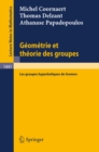 Image for Geometrie et theorie des groupes: Les groupes hyperboliques de Gromov : 1441