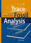 Image for Trace Fossil Analysis
