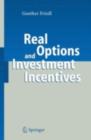Image for Real options and investment incentives