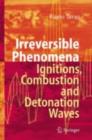 Image for Irreversible phenomena in ignitions, combustion and detonation waves