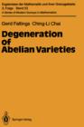 Image for Degeneration of Abelian Varieties
