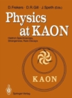 Image for Physics at Kaon : International Meeting Proceedings