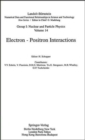 Image for Electron - Positron Interactions