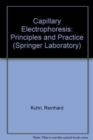 Image for Capillary Electrophoresis
