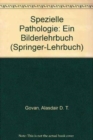 Image for Spezielle Pathologie : Ein Bilderlehrbuch