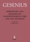 Image for Hebraisches und Aramaisches Handworterbuch uber das Alte Testament : 2.Lieferung ? – ?