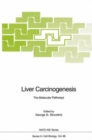 Image for Liver Carcinogenesis : The Molecular Pathways