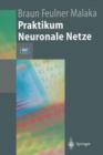 Image for Praktikum Neuronale Netze