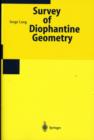 Image for Number Theory III : Diophantine Geometry