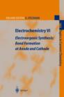 Image for Electrochemistry VI