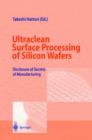 Image for Ultraclean Surface Processing of Silicon Wafers : Secrets of VLSI Manufacturing