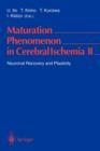 Image for Maturation Phenomenon in Cerebral Ischemia II : Neuronal Recovery and Plasticity
