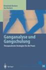 Image for Ganganalyse und Gangschulung : Therapeutische Strategien fur die Praxis