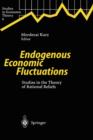 Image for Endogenous Economic Fluctuations : Studies in the Theory of Rational Beliefs