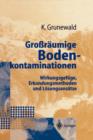Image for Großraumige Bodenkontaminationen : Wirkungsgefuge, Erkundungsmethoden und Losungsansatze
