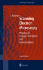Image for Scanning Electron Microscopy : Physics of Image Formation and Microanalysis