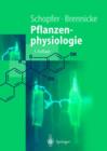 Image for Pflanzenphysiologie