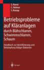 Image for Betriebsprobleme auf Klaranlagen durch Blahschlamm, Schwimmschlamm, Schaum