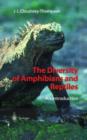 Image for The Diversity of Amphibians and Reptiles
