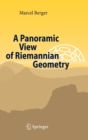 Image for A panoramic view of Riemannian geometry