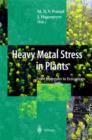 Image for Heavy Metal Stress in Plants
