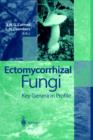 Image for Ectomycorrhizal Fungi