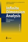 Image for Infinite Dimensional Analysis