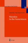 Image for Wavelets in the Geosciences