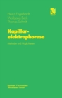 Image for Kapillarelektrophorese : Methoden Und Maglichkeiten