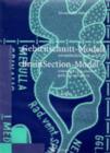Image for Gehirnschnitt-modell / Brainsection-model : Mit Ausfuhrlicher Bauanleitung / Including a Comprehensive Guide to Construction