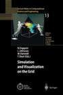 Image for Simulation and Visualization on the Grid