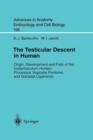 Image for The Testicular Descent in Human : Origin, Development and Fate of the Gubernaculum Hunteri, Processus Vaginalis Peritonei, and Gonadal Ligaments