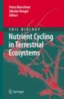 Image for Nutrient cycling in terrestrial ecosystems