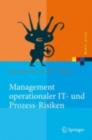 Image for Management operationaler IT- und Prozess-Risiken: Methoden fur eine Risikobewaltigungsstrategie