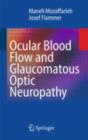 Image for Ocular blood flow and glaucomatous optic neuropathy