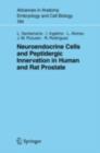 Image for Neuroendocrine Cells and Peptidergic Innervation in Human and Rat Prostrate