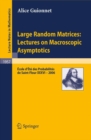 Image for Large Random Matrices: Lectures on Macroscopic Asymptotics